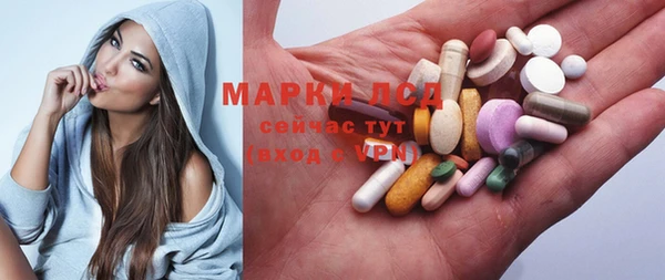 прущие грибы Алзамай
