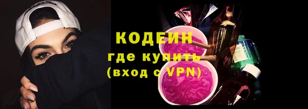 прущие грибы Алзамай