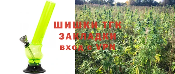прущие грибы Алзамай