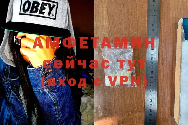 прущие грибы Алзамай