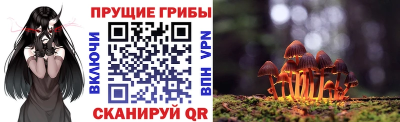 Галлюциногенные грибы Psilocybine cubensis  Асино 